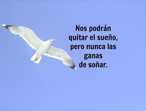 Cita citable - Julio